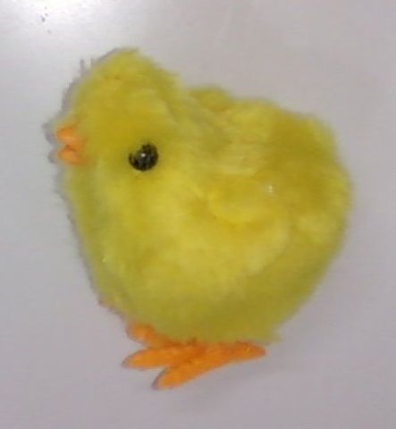 Pintinho de corda