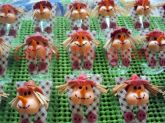Mini copinhos para doce de colher